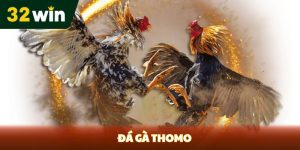 32Win | Link enter Nổ Hũ Bắn Cá Casino Game Bài 32win | 2026 - Venipo
