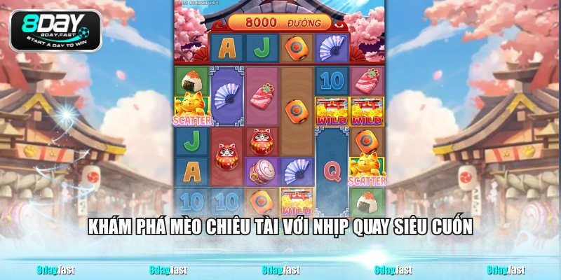 Mèo Chiêu Tài - 3 Mẹo Chinh Chiến Hiệu Quả Cho Hội Viên - Venipo