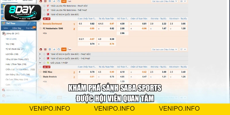 Saba Sports - Sảnh Thể Thao Uy Tín, Tỷ Lệ Cạnh Tranh - Venipo