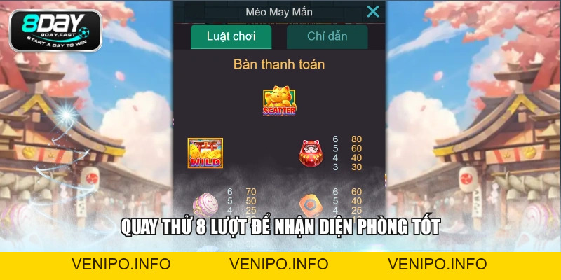 Mèo Chiêu Tài - 3 Mẹo Chinh Chiến Hiệu Quả Cho Hội Viên - Venipo