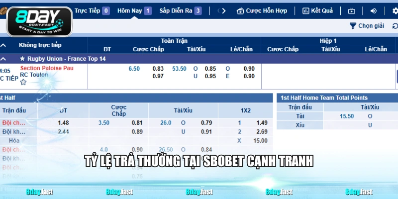 Sảnh SBOBET - Tỷ Lệ Cập Nhật Liên Tục, Bắt Kèo Nhanh - Venipo